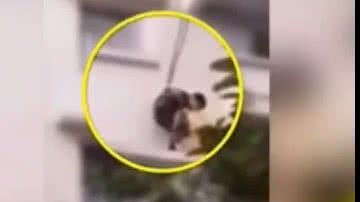 Reprodução/YouTube