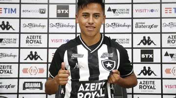 Divulgação/Botafogo