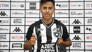 Divulgação/Botafogo