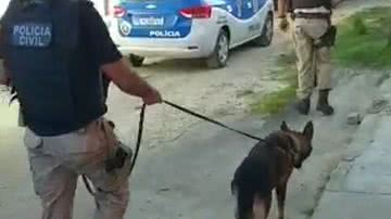 Reprodução / Leitor BNews