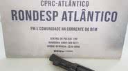 Divulgação
