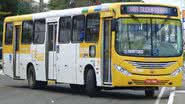 Reprodução/ Ônibus Brasil