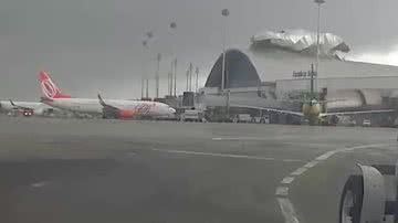 Reprodução