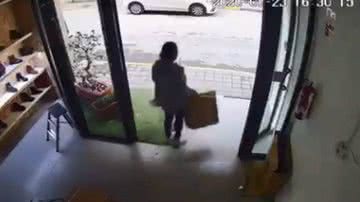 Reprodução