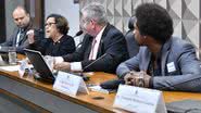 Jane de Araújo / Agência Senado