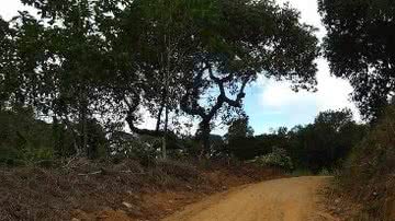 Reprodução/Google Maps