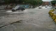 Arquivo BNews