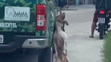 Reprodução/Instagram