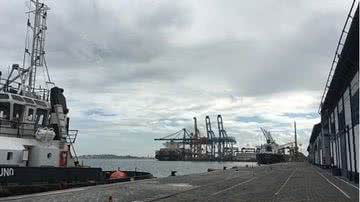 reprodução // Instagram Codeba