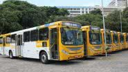 Arquivo/BNews