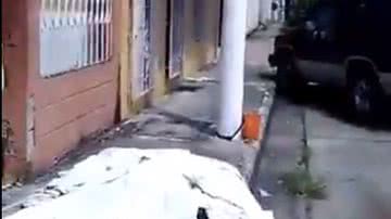 Reprodução/ Redes Sociais
