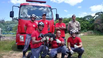 Divulgação/Corpo de Bombeiros