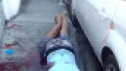 Leitor BNews