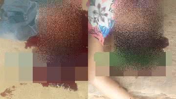 Montagem BNews