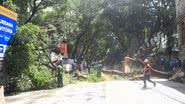 Paulo M. Azevedo/Bnews