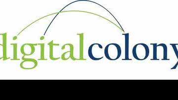 Digital Colony