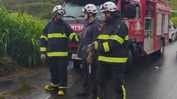 Ilustrativa/ bombeiros