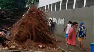 Reprodução/ Leitos BNews