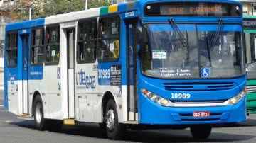 Ônibus Brasil/Ícaro Chagas