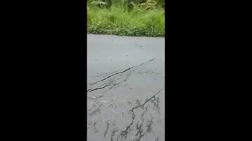 Reprodução/Youtube