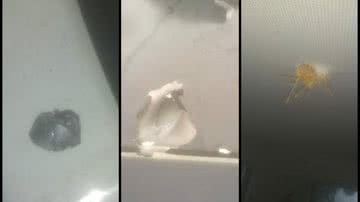 Reprodução/Augusto urgente