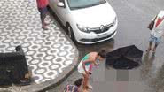 Divulgação