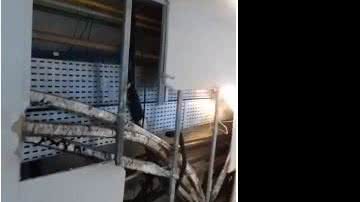 Reprodução/vídeo
