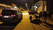 Divulgação / Polícia Militar (SE)