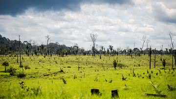 Marcelo Camargo/Agência Brasil