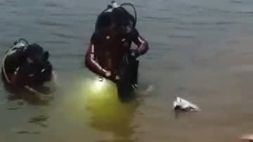 Reprodução/Youtube