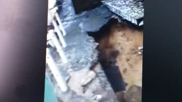 Reprodução  / Vídeo