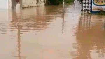 Reprodução/WhatsApp