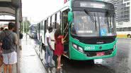 Arquivo BNews