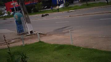 Leitor BNews