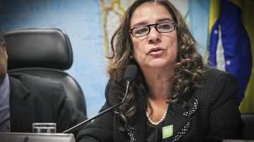 André Corrêa/ Agência Senado