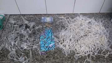 Divulgação