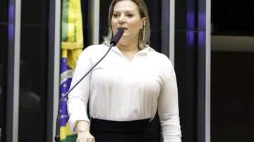 Najara Araujo/Câmara dos Deputados