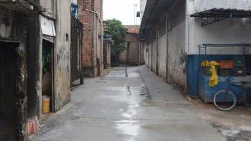 Divulgação