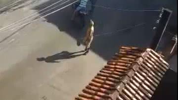 Reprodução/ Leitor Bnews