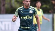 César Greco / Ag Palmeiras