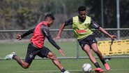 Bruno Cantini / Agência Galo / Atlético