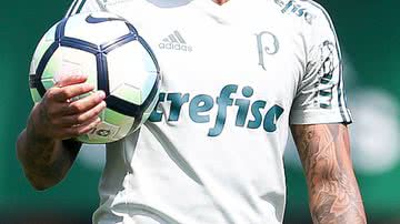 Reprodução/Flickr/Palmeiras
