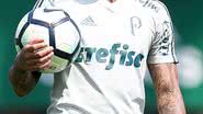 Reprodução/Flickr/Palmeiras