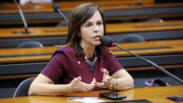 Cleia Viana/Câmara dos Deputados