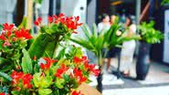 Reprodução/ Instagram