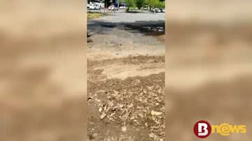 Reprodução / redes sociais