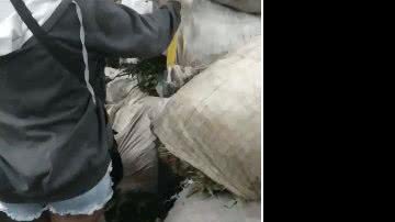Reprodução/vídeo