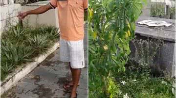 Reprodução/Youtube