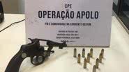 Divulgação