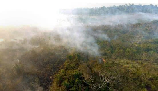 Reprodução/Bombeiros do Pará